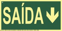 FL--248
SAIDA
